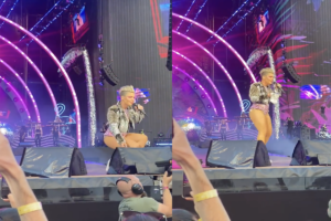 Pink Concert Disrupted by Fan Who Tosses Bag of Mother's Ashes on Stage