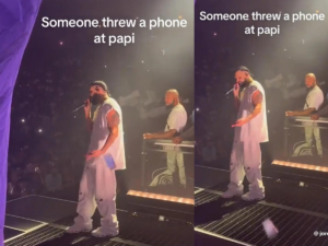 Fans Throwing Objects at Artists on Stage A Disturbing Trend