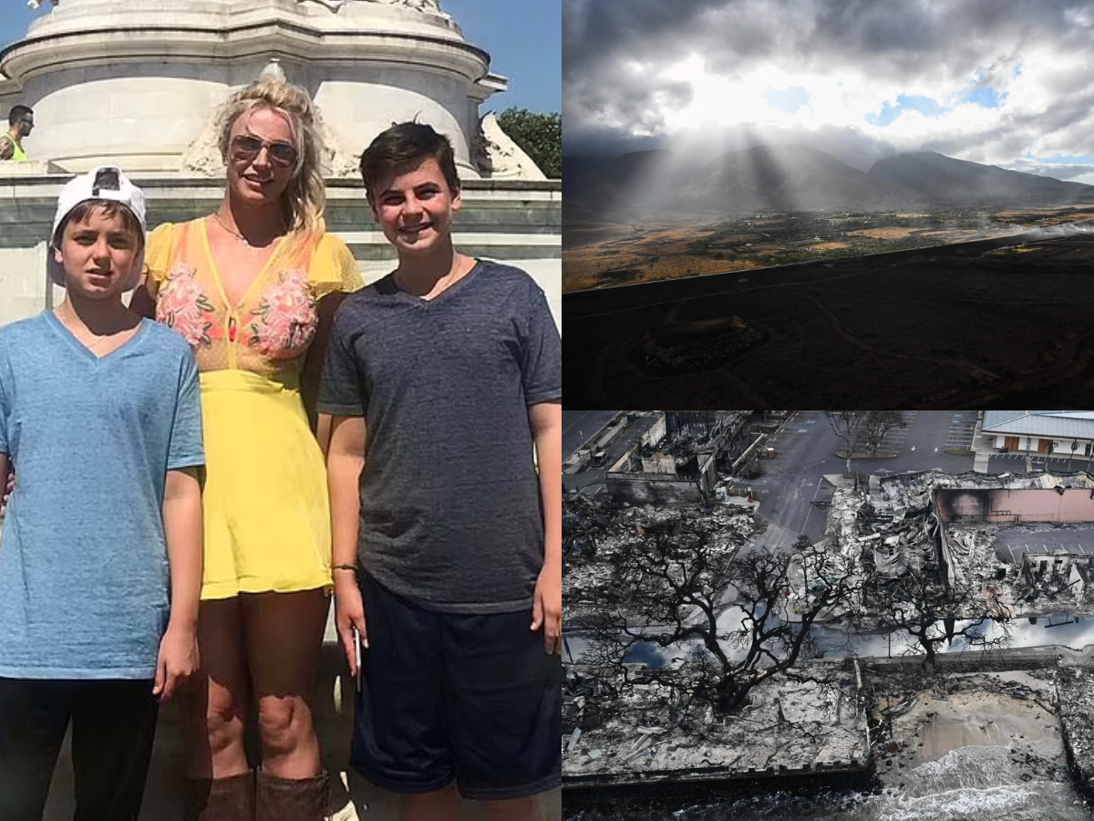Britney Spears' Sons Saddened by Wildfires in Hawaii